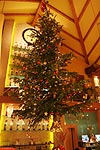an der Decke aufgehngter Weihnachtsbaum im Caf del Sol