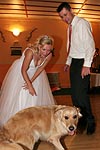 der Hund des Hochzeitspaares durfte mitfeiern