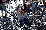 Tauben auf dem Markusplatz