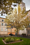 Grasse