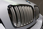 BMW X6 Individual, Niere
