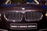 BMW-Niere am BMW 550i (F10) 