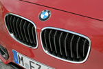 BMW 118i Sport Line (F25), BMW Niere