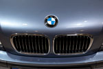 BMW 330i Security (Modell E46), BMW Logo und BMW Niere